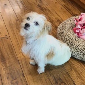 Meet your Posher, Caroline